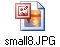 small8.JPG